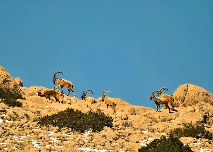 Lodge Aladaglar Mountain