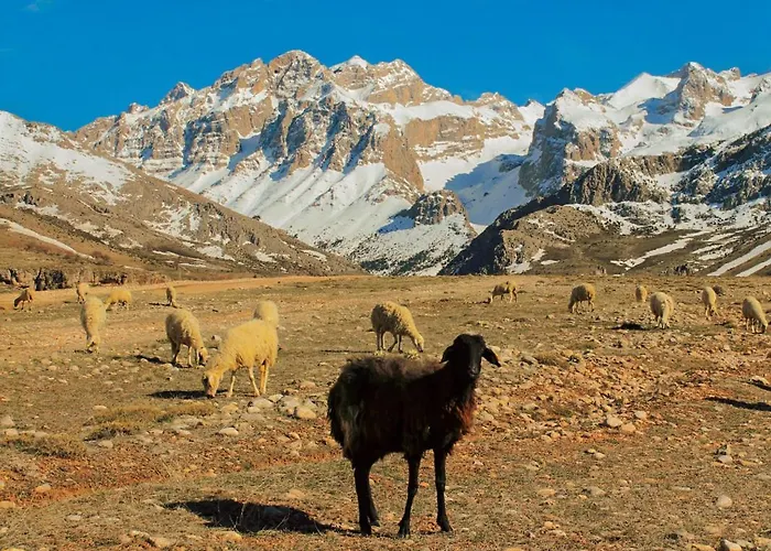 Aladaglar Mountain Lodge *