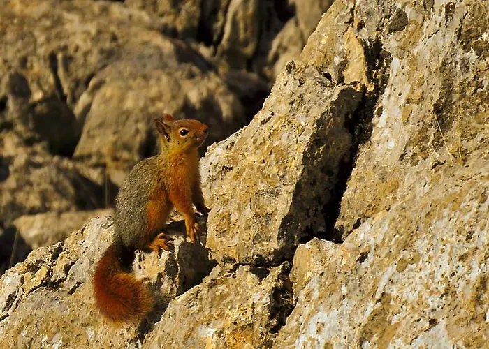 Aladaglar Mountain Lodge